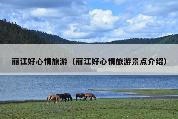 丽江好心情旅游（丽江好心情旅游景点介绍）