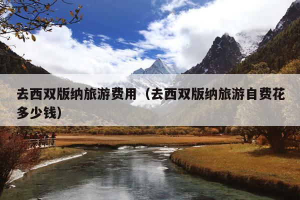 去西双版纳旅游费用（去西双版纳旅游自费花多少钱）