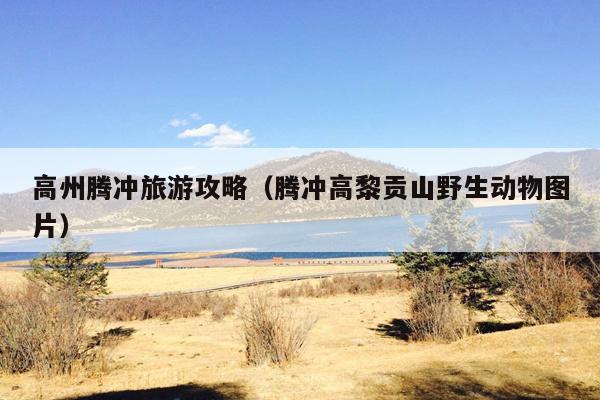 高州腾冲旅游攻略（腾冲高黎贡山野生动物图片）