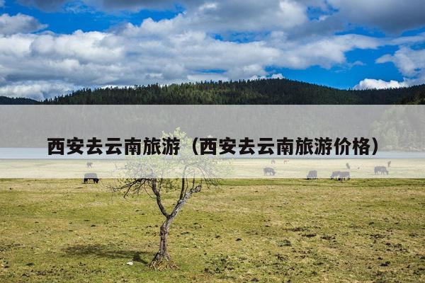 西安去云南旅游（西安去云南旅游价格）