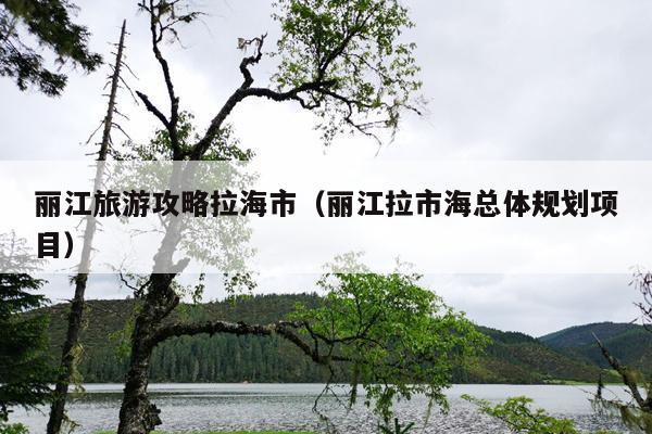 丽江旅游攻略拉海市（丽江拉市海总体规划项目）