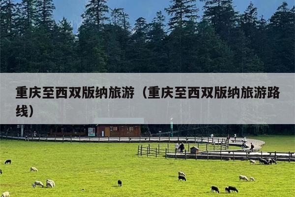 重庆至西双版纳旅游（重庆至西双版纳旅游路线）
