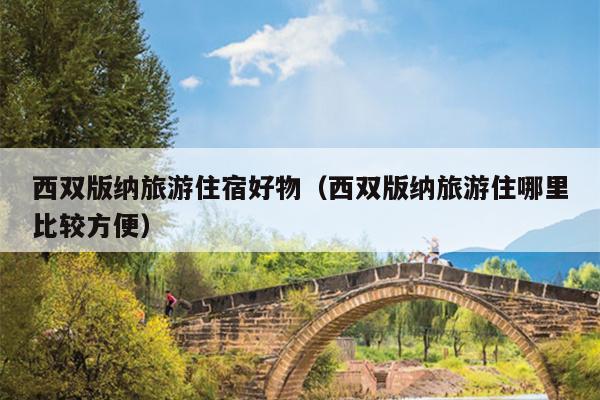 西双版纳旅游住宿好物（西双版纳旅游住哪里比较方便）