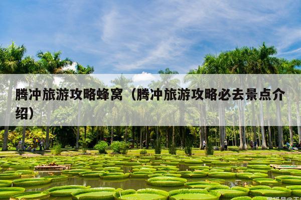 腾冲旅游攻略蜂窝（腾冲旅游攻略必去景点介绍）