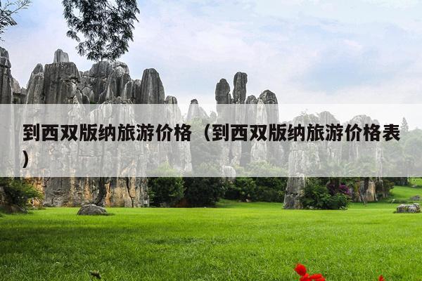 到西双版纳旅游价格（到西双版纳旅游价格表）