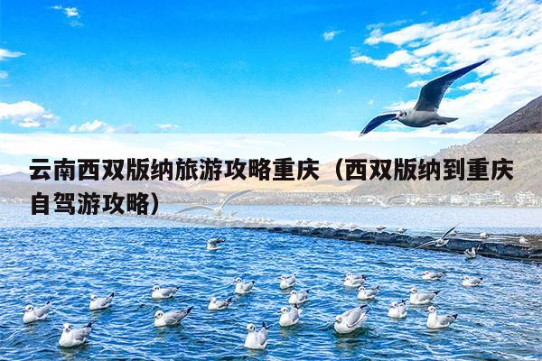 云南西双版纳旅游攻略重庆（西双版纳到重庆自驾游攻略）
