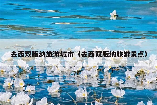 去西双版纳旅游城市（去西双版纳旅游景点）