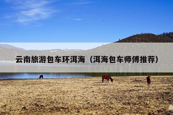 云南旅游包车环洱海（洱海包车师傅推荐）