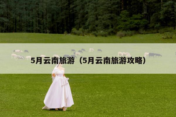 5月云南旅游（5月云南旅游攻略）