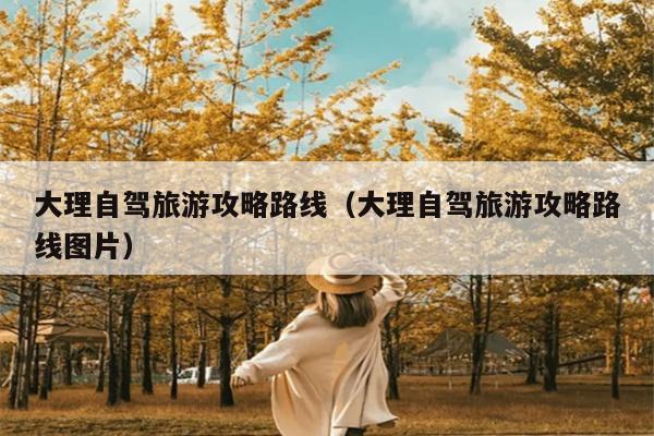 大理自驾旅游攻略路线（大理自驾旅游攻略路线图片）