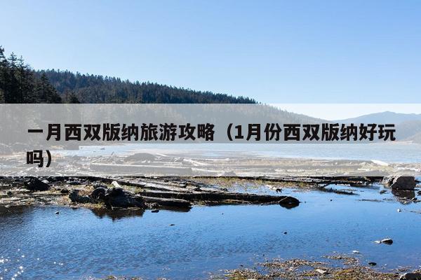 一月西双版纳旅游攻略（1月份西双版纳好玩吗）