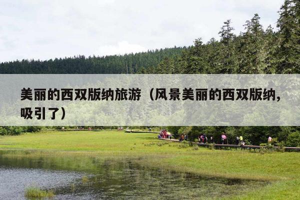 美丽的西双版纳旅游（风景美丽的西双版纳,吸引了）