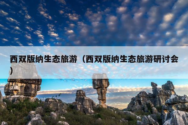 西双版纳生态旅游（西双版纳生态旅游研讨会）