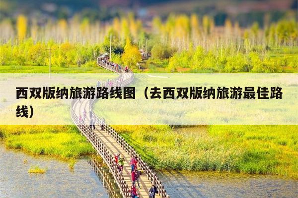 西双版纳旅游路线图（去西双版纳旅游最佳路线）
