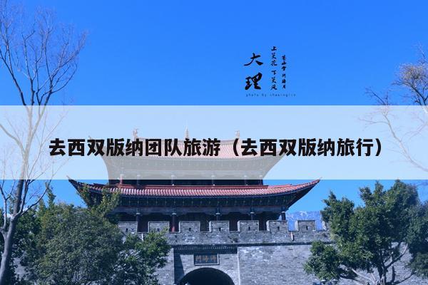 去西双版纳团队旅游（去西双版纳旅行）