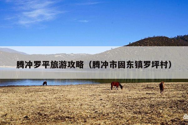 腾冲罗平旅游攻略（腾冲市固东镇罗坪村）