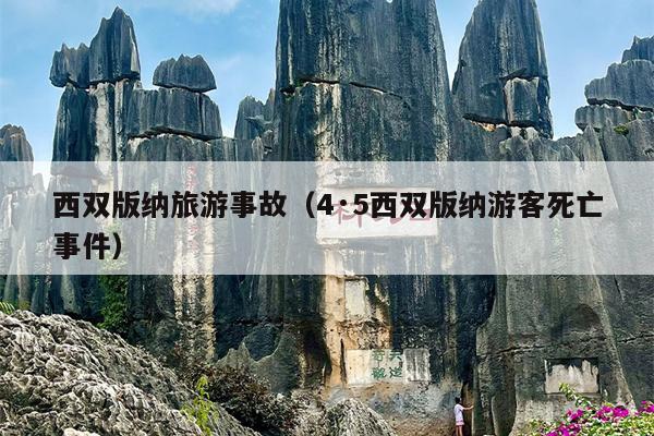 西双版纳旅游事故（4·5西双版纳游客死亡事件）
