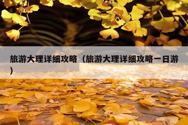 旅游大理详细攻略（旅游大理详细攻略一日游）