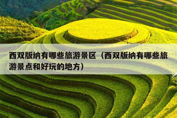 西双版纳有哪些旅游景区（西双版纳有哪些旅游景点和好玩的地方）