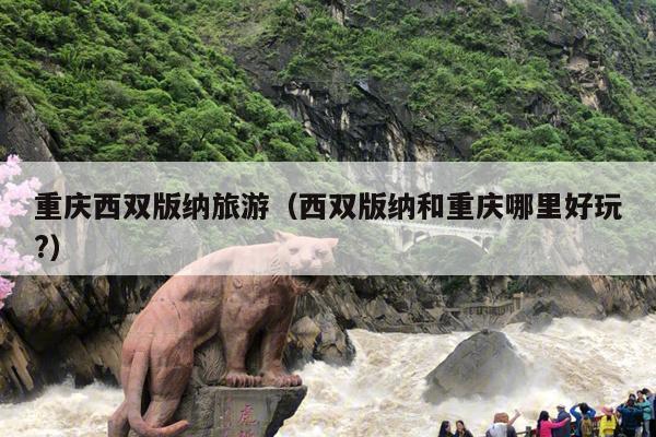 重庆西双版纳旅游（西双版纳和重庆哪里好玩?）