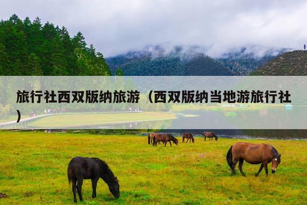 旅行社西双版纳旅游（西双版纳当地游旅行社）