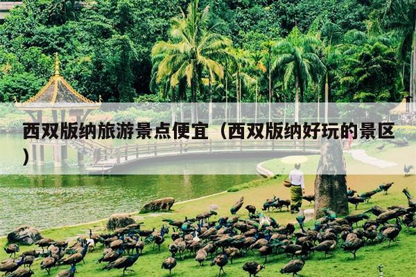 西双版纳旅游景点便宜（西双版纳好玩的景区）