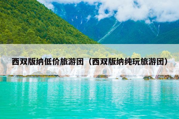 西双版纳低价旅游团（西双版纳纯玩旅游团）
