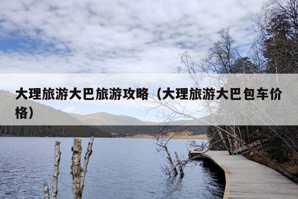 大理旅游大巴旅游攻略（大理旅游大巴包车价格）