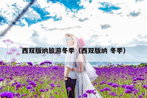 西双版纳旅游冬季（西双版纳 冬季）