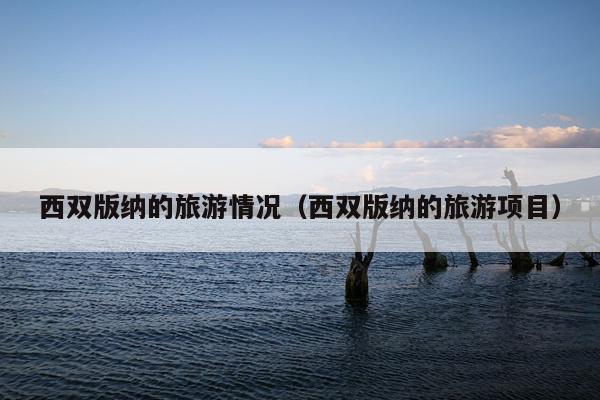 西双版纳的旅游情况（西双版纳的旅游项目）