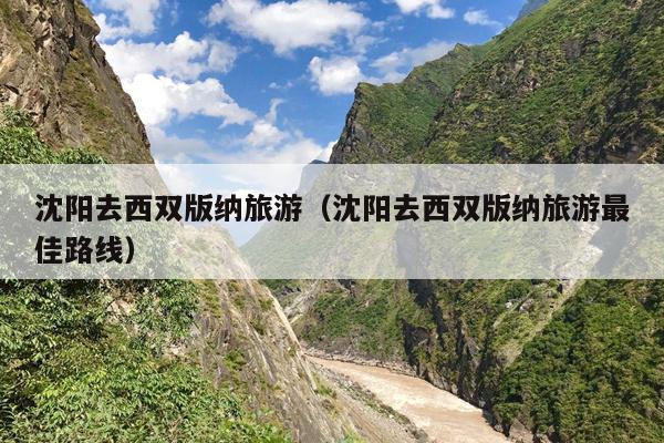 沈阳去西双版纳旅游（沈阳去西双版纳旅游最佳路线）