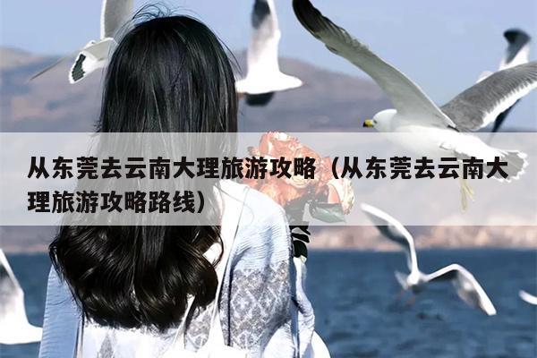 从东莞去云南大理旅游攻略（从东莞去云南大理旅游攻略路线）