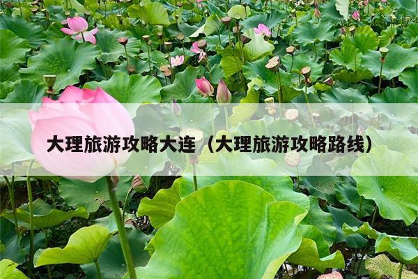 大理旅游攻略大连（大理旅游攻略路线）