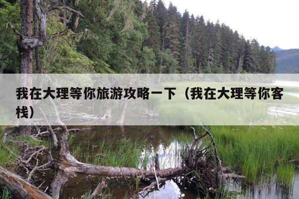 我在大理等你旅游攻略一下（我在大理等你客栈）