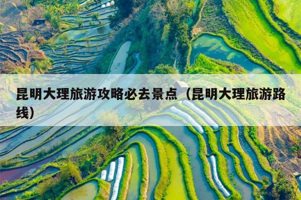 昆明大理旅游攻略必去景点（昆明大理旅游路线）