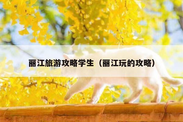 丽江旅游攻略学生（丽江玩的攻略）
