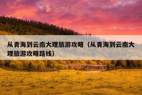 从青海到云南大理旅游攻略（从青海到云南大理旅游攻略路线）