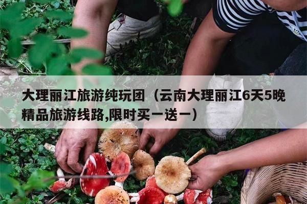 大理丽江旅游纯玩团（云南大理丽江6天5晚精品旅游线路,限时买一送一）