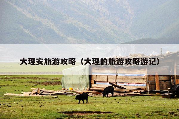 大理安旅游攻略（大理的旅游攻略游记）