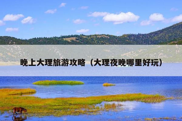 晚上大理旅游攻略（大理夜晚哪里好玩）
