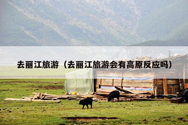 去丽江旅游（去丽江旅游会有高原反应吗）