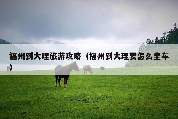 福州到大理旅游攻略（福州到大理要怎么坐车）