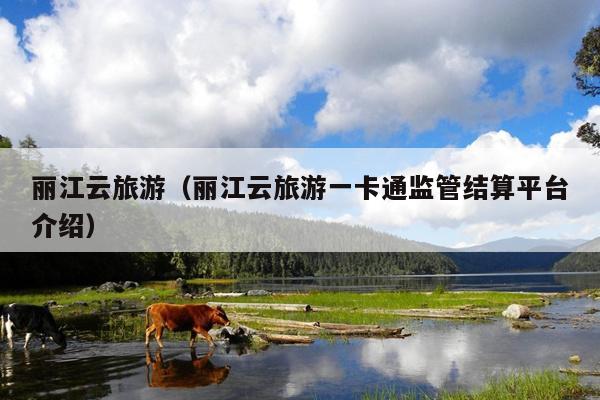 丽江云旅游（丽江云旅游一卡通监管结算平台介绍）