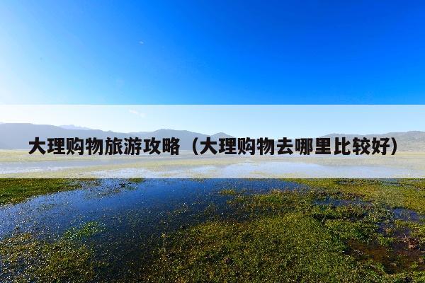 大理购物旅游攻略（大理购物去哪里比较好）