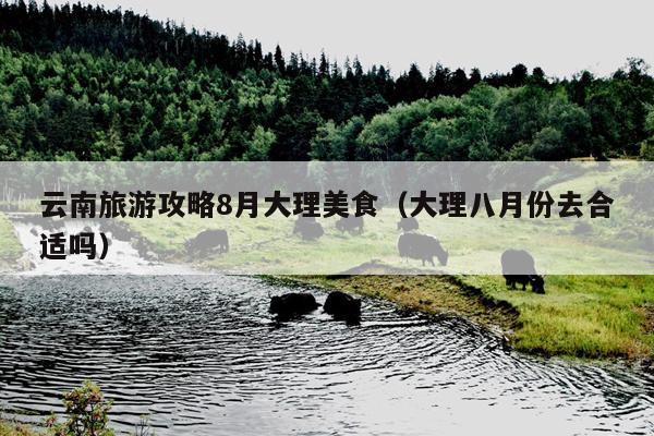 云南旅游攻略8月大理美食（大理八月份去合适吗）