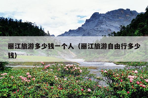 丽江旅游多少钱一个人（丽江旅游自由行多少钱）