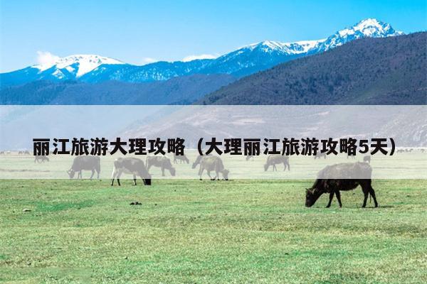 丽江旅游大理攻略（大理丽江旅游攻略5天）