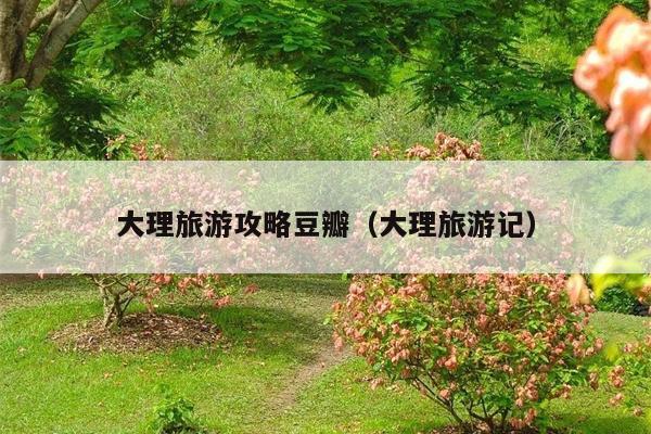 大理旅游攻略豆瓣（大理旅游记）