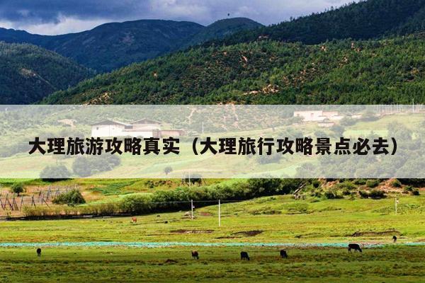 大理旅游攻略真实（大理旅行攻略景点必去）