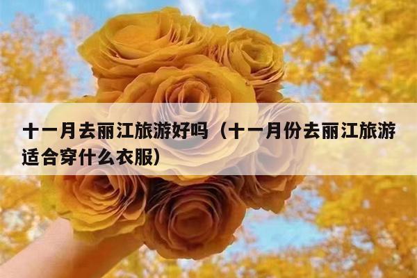 十一月去丽江旅游好吗（十一月份去丽江旅游适合穿什么衣服）